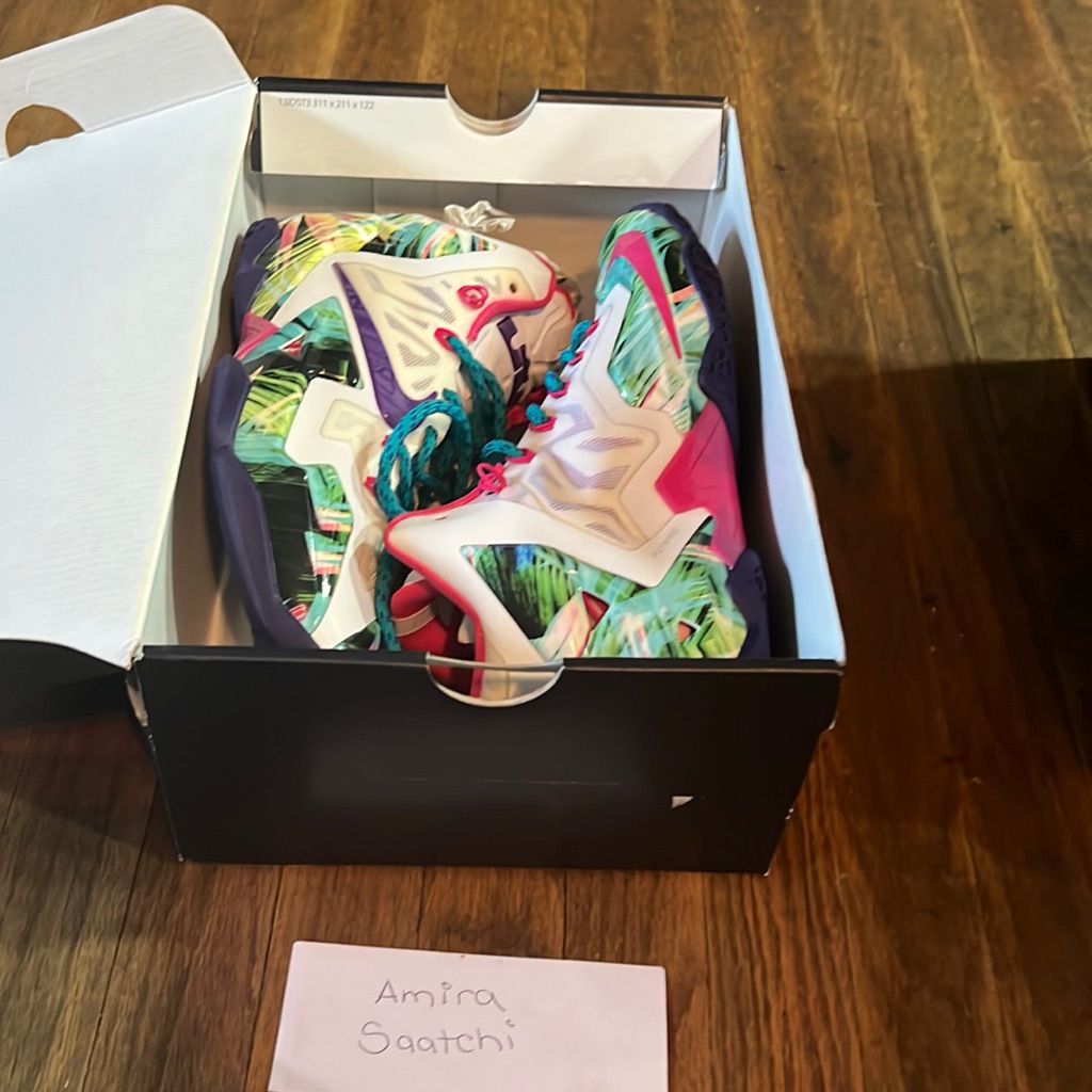 Lebron Nike Id